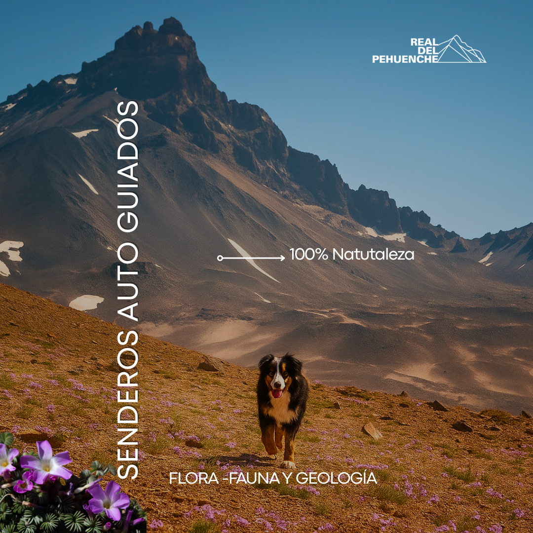 SENDEROS AUTOGUIADOS